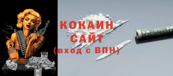 соль ск Арсеньев