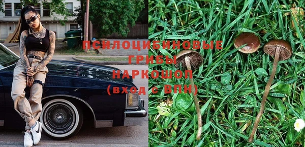 mix Армянск