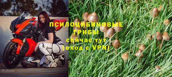 mix Армянск