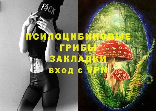 mix Армянск