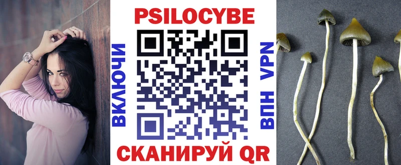 Псилоцибиновые грибы прущие грибы Курчатов